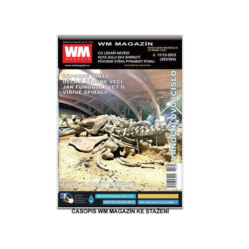 WM magazin 11-12/2024